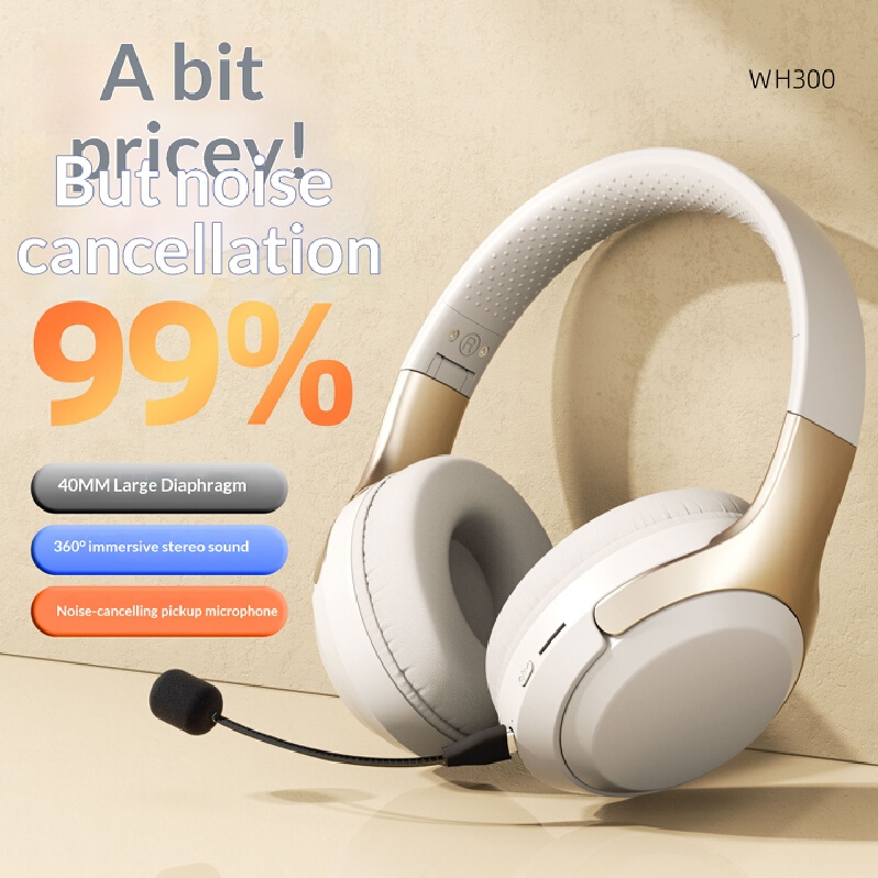 Over Ear Wireless Bluetooth He – Laptop Accessories Officeworks Bewertung und Preis