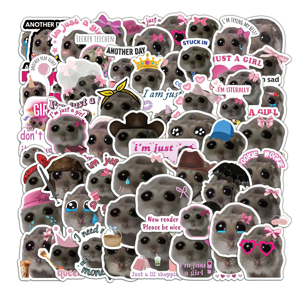 56pcs Cute Sad Hamster Meme St – Laptop Accessories Girly Bewertung und Preis