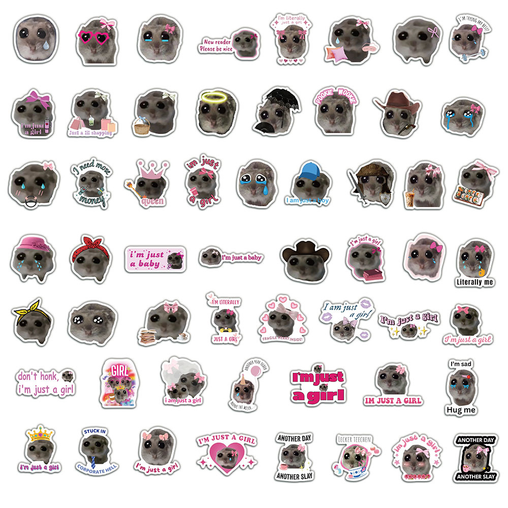 56pcs Cute Sad Hamster Meme St – Laptop Accessories Girly Bewertung und Preis