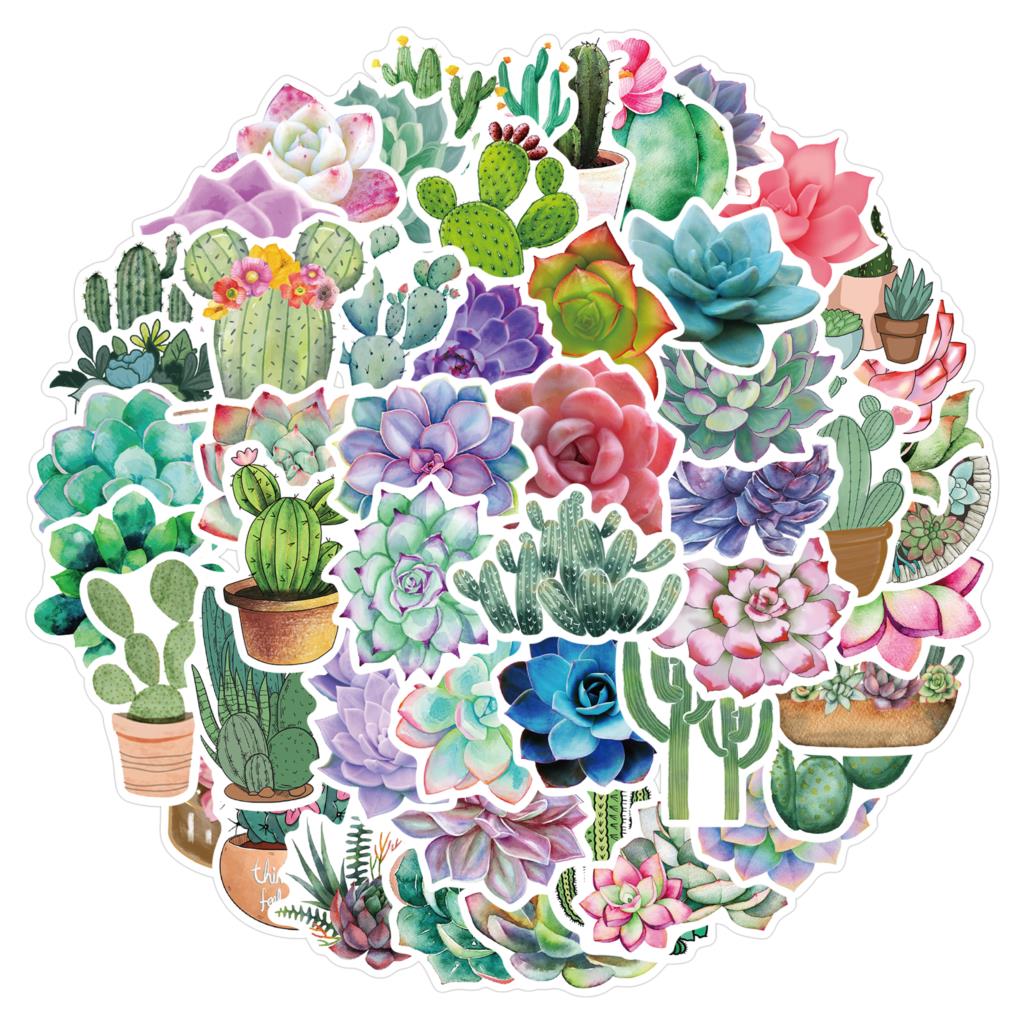 50PCS Succulent Stickers For L – Laptop Accessories Girly Bewertung und Preis