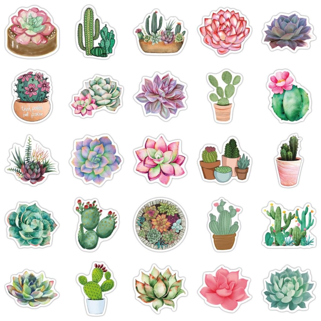 50PCS Succulent Stickers For L – Laptop Accessories Girly Bewertung und Preis