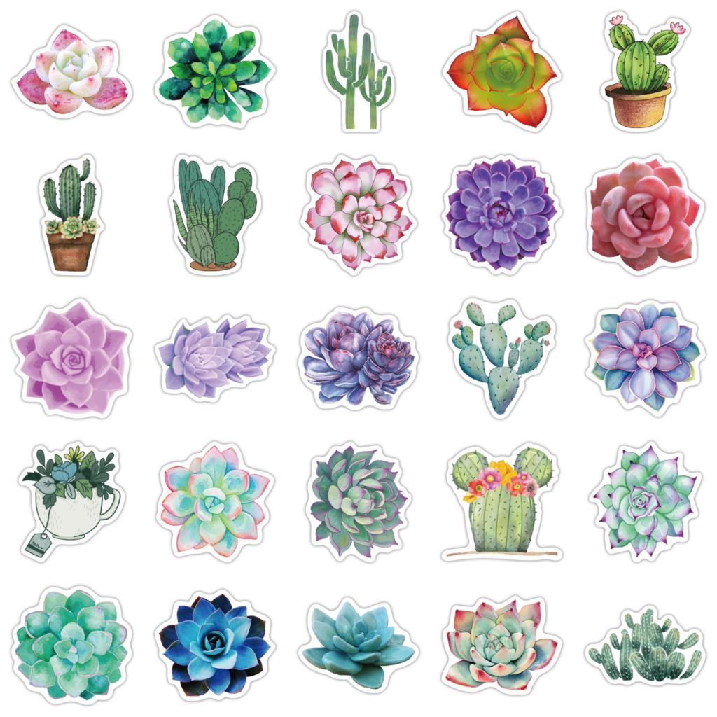 50PCS Succulent Stickers For L – Laptop Accessories Girly Bewertung und Preis