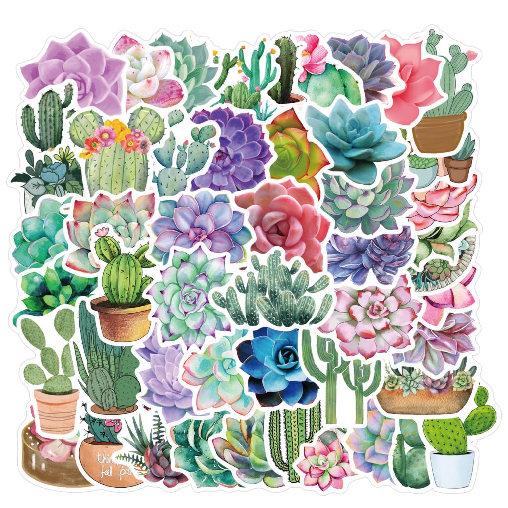 50PCS Succulent Stickers For L – Laptop Accessories Girly Bewertung und Preis